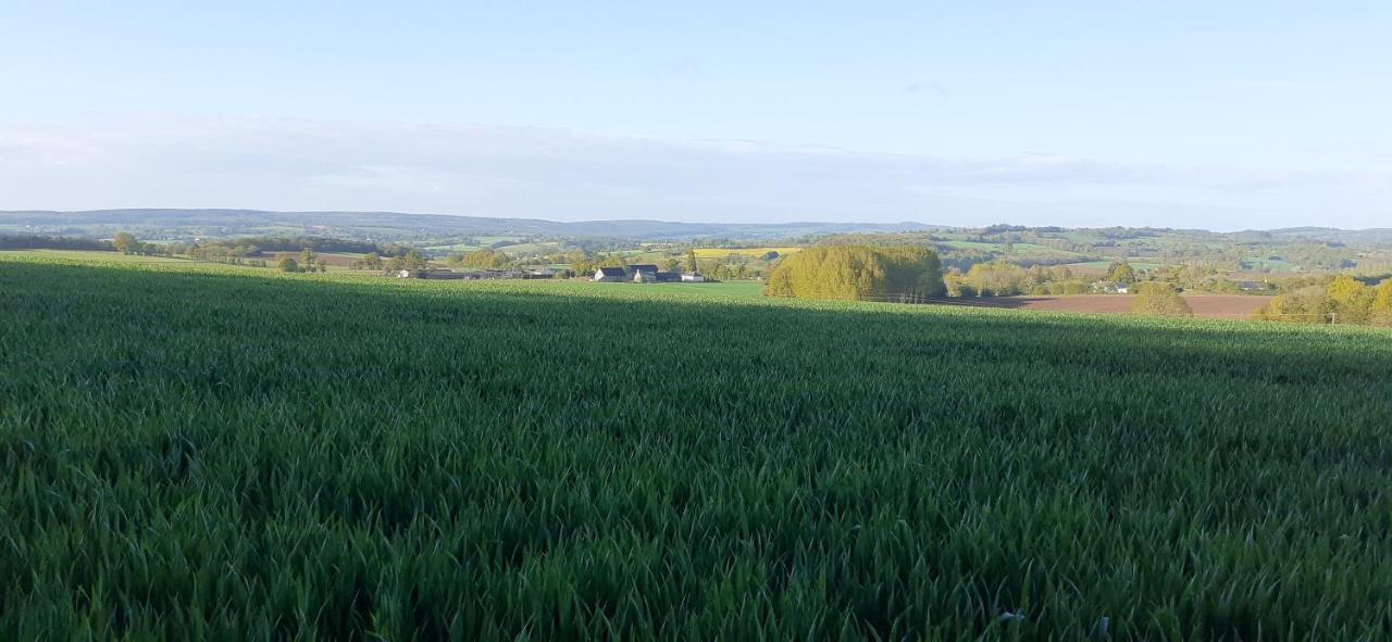 Private Farmhouse For Six In The Countryside Saint-Pierre-sur-Orthe Εξωτερικό φωτογραφία